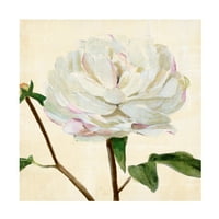 Annie Warren 'Peony In Bloom I' Canvas Art