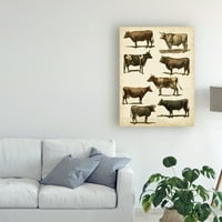 Marcă comercială Fine Art 'Antique Cow Chart' Canvas Art de la Vision Studio