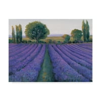 Marcă comercială Fine Art 'Lavender Field II' Canvas Art de Tim OToole