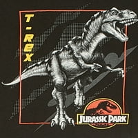Pachet De Tricouri Grafice Pentru Băieți Jurassic Park, Mărimi 4-18