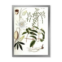 Designart 'Ancient Plant Life IV' fermă încadrată Art Print