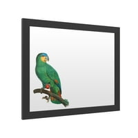 Marcă comercială Fine Art 'Parrot of the Tropics I' Markerboard de Barraband