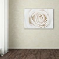 Marcă comercială Artă Plastică pânză florală artă de perete 'trandafir alb' de Cora Niele