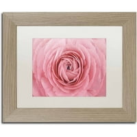 Marcă comercială Fine Art 'Pink Persian Buttercup Flower' Canvas Art de Cora Niele, alb mat, cadru de mesteacăn