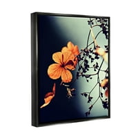 Stupell Industries Sunlit detaliate petale florale fotografie Jet negru plutitoare înrămate panza imprimare arta de perete, Design