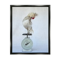 Stupell Industries pasăre albă în picioare bucătărie Vintage scară fotografie Fotografie Jet negru plutitoare încadrată pânză imprimare artă de perete, Design de Tania Soderman