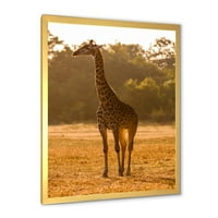 Designart 'African Giraffe in the Wildlife II' casă de fermă încadrată Art Print