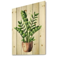 Designart 'Zamioculcas plantă tropicală cu frunze verzi pe alb' imprimeu tradițional pe lemn Natural de pin
