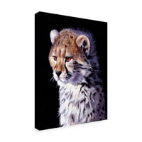 Marcă comercială Artă Plastică 'Cheetah Cub' artă pe pânză de Pip McGarry