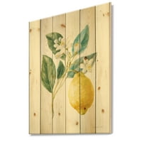 Designart 'Lemon Floursack I' Cabin & Lodge Print pe lemn Natural de pin
