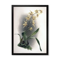 Designart 'Floare De Orhidee Antică' Imprimare Tradițională De Artă Încadrată