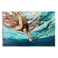 Stupell Industries stropirea țestoasei Marine scufundări sub suprafața oceanului pictură artă Neîncadrată imprimare artă de perete,