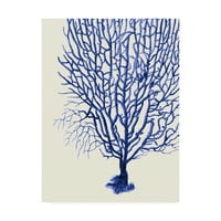 Marcă comercială Fine Art 'Blue Corals b' Canvas Art de Fab Funky